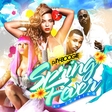 Load image into Gallery viewer, DJ TY Boogie - Spring Fever Volume 1 - 4 (Mix CD) 4 CD Set
